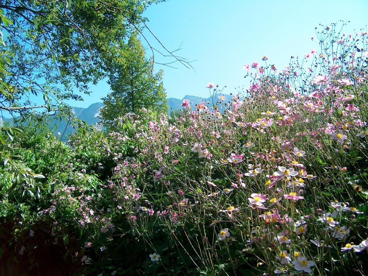 Schlossberghof Marzoll Bad Reichenhall Zewnętrze zdjęcie